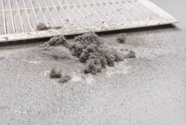 Best HVAC Duct Inspection Services  in Winchester, TN